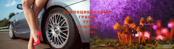 МДПВ Алексеевка