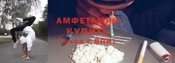стаф Алзамай