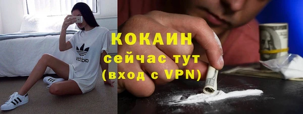 твердый Алексин