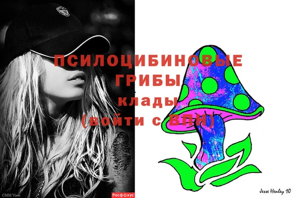 стаф Алзамай