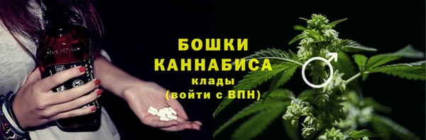 твердый Алексин