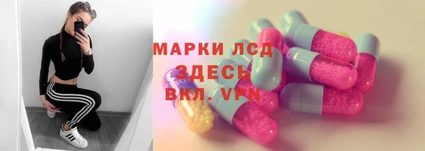 стаф Алзамай