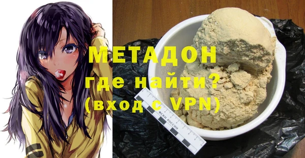 стаф Алзамай