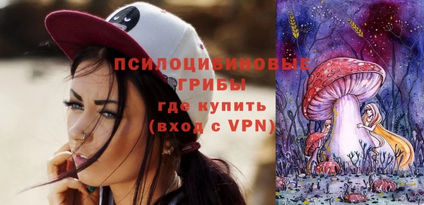 стаф Алзамай