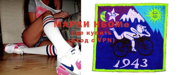 стаф Алзамай