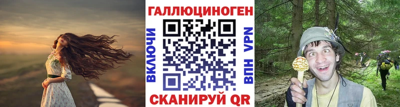 купить наркоту  даркнет какой сайт  Псилоцибиновые грибы прущие грибы  Лагань 
